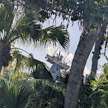 Typhoon Lagoon Surf Pool - Water Parks Near Me - Orlando, Florida
