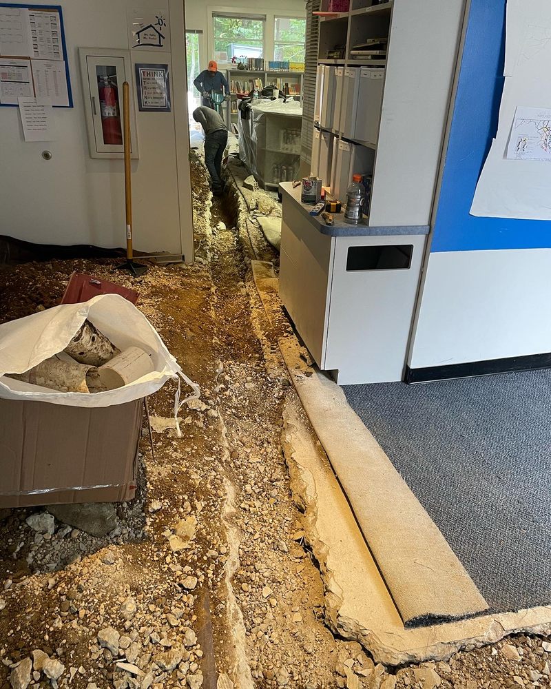 Premier Contracting - tree service in Annapolis, MD