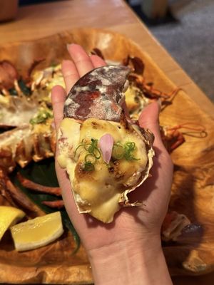 Octopus' Garden Restaurant by null
