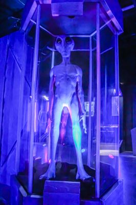 UFO Experience by null