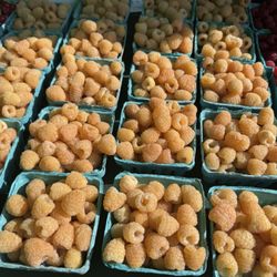 West Hartford Farmers’ Market - Golden raspberries