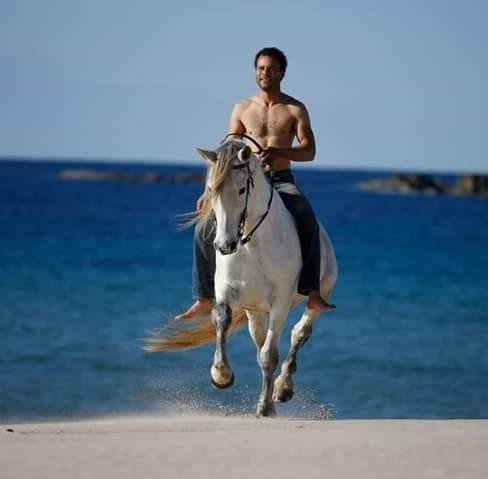 Active Riding Trips - Equestrian Vacations Logo