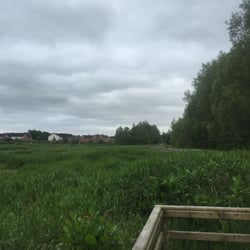 Balloo Wetland