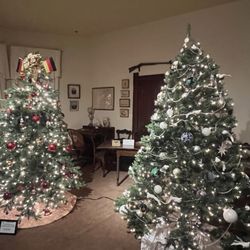 San Joaquin County Historical Society & Museum - Museum during the holidays