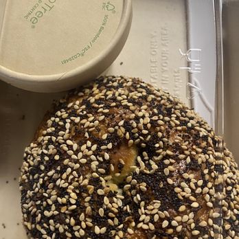Alfred Coffee - Bagel - Coffee & Tea Near Me - Studio City, California Alfred Coffee - Bagel - Coffee & Tea Near Me - Studio City, California