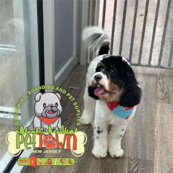 Pet Town - Pet Groomers Near Me - Perth Amboy, New Jersey Pet Town - Pet Groomers Near Me - Perth Amboy, New Jersey