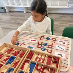 Magnolia Progressive Montessori