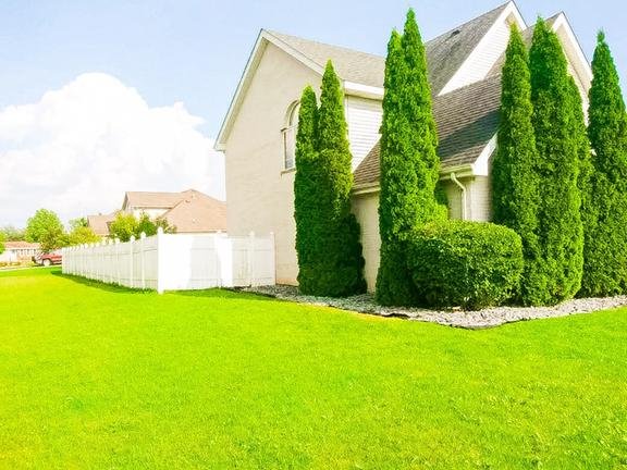 Landscap NOW - tree service in Chicago, IL