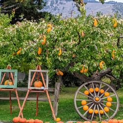 Parsons Fruit Stand