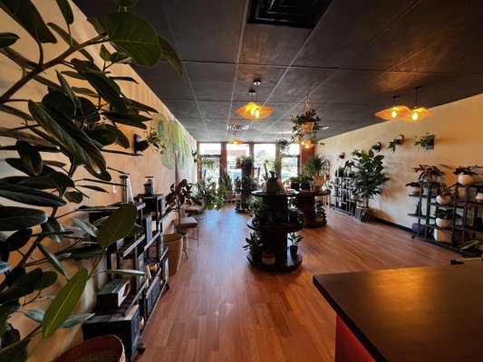 IXXA COFFEE ROASTERS CAFE & PLANT SHOP - 11 Photos - 1720 Calumet Ave