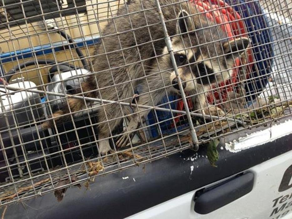 Solar Imput - mold inspector in Burlington, IA