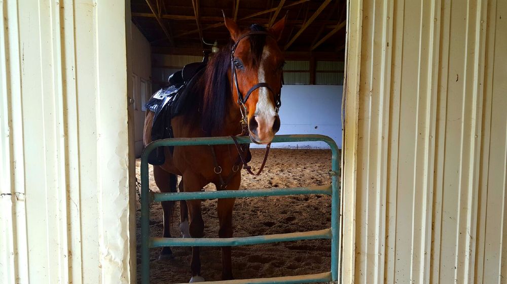 SHENCK TRAINING CENTER Updated September 2024 5191 Casey Rd, Dryden