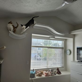 Better Fix Property Services & Construction - The climbing wall piece that Chris reinstalled is the one my 2 cats are both on. They were happy to have it fixed too! - Handyman Near Me