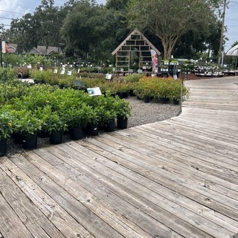 Kerby's Nursery - Near the entrance, this is just a small part of the nursery (I didn't even get pics of any of the tree area). - Nurseries & Gardening Near Me - Seffner, Florida