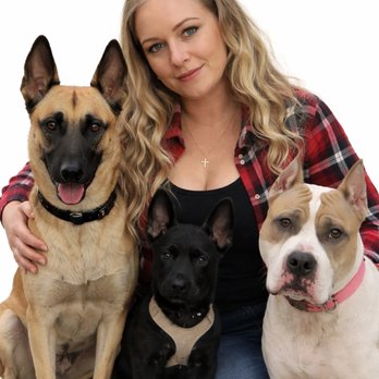 Naples Dog Academy - Pet Training Near Me - Naples, Florida Naples Dog Academy - Pet Training Near Me - Naples, Florida