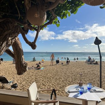 Hau Tree - Hau Tree - Seafood Near Me - Honolulu, Hawaii Hau Tree - Hau Tree - Seafood Near Me - Honolulu, Hawaii