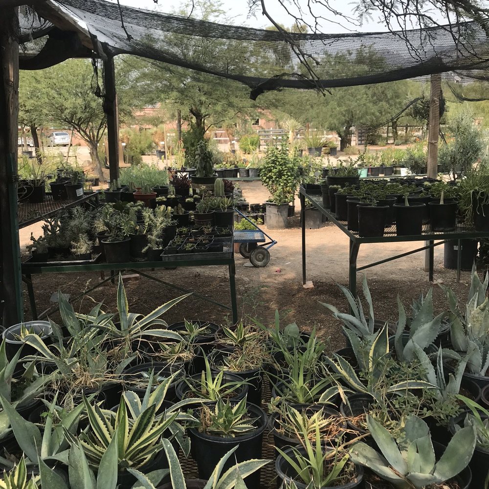 Arizona Growers - Nurseries & Gardening Near Me - Tucson, Arizona Arizona Growers - Nurseries & Gardening Near Me - Tucson, Arizona