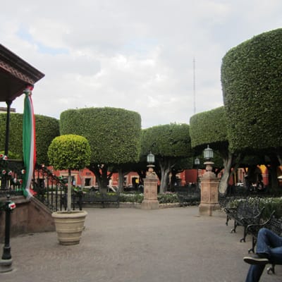 Jardín Allende by null