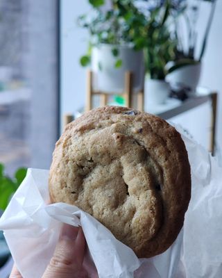 Isgro Pastries by null
