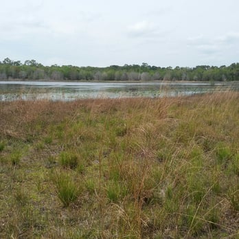 Violet Cury Preserve - Parks Near Me - Lutz, Florida Violet Cury Preserve - Parks Near Me - Lutz, Florida