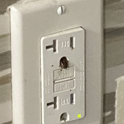 Harbourside Resort - More roaches