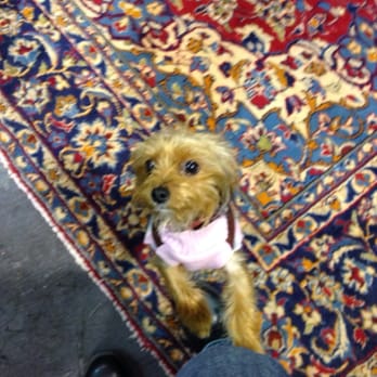 Adrian Fog - Loved the dog! - Wineries Near Me - Sebastopol, California Adrian Fog - Loved the dog! - Wineries Near Me - Sebastopol, California