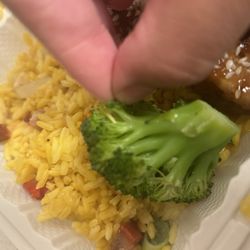 New Food King - MAGGOTS