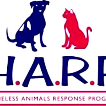 Homeless Animals Respone Program - Animal Shelters Near Me Homeless Animals Respone Program - Animal Shelters Near Me