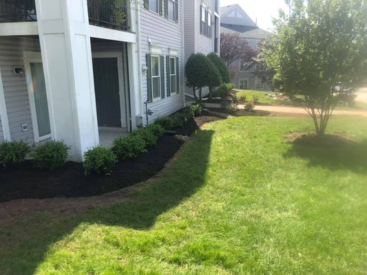 Lawn Care - At Castillo Landscaping Services, we offer quick and comprehensive lawn care that is readily available to take care of all your lawn projects! Our team provides yard cleanup, bush trimming, lawn mowing, and overall exceptional lawn care, so just let us know what you need, and we will get it done in a swift but thorough manner. We personalize our services to your budget, schedule, and specifications to keep your lawn healthy throughout the seasons. Call Castillo Landscaping Services today and experience quality and professional lawn services from the most trusted company in town.