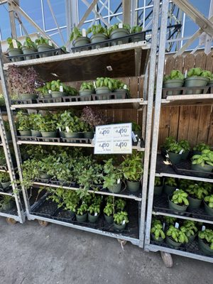 Central Market by null