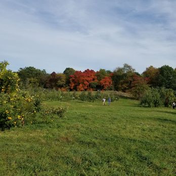 Wright's Farm - Beautiful setting - Fruits & Veggies Near Me - Gardiner, New York Wright's Farm - Beautiful setting - Fruits & Veggies Near Me - Gardiner, New York