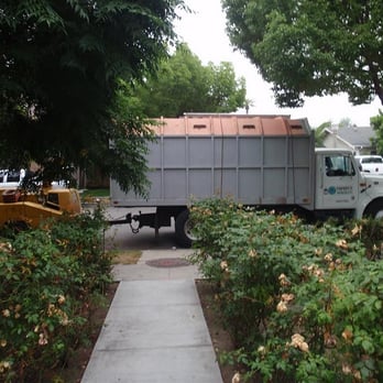 Freddy's Tree Service - Tree Services Near Me - Anaheim, California