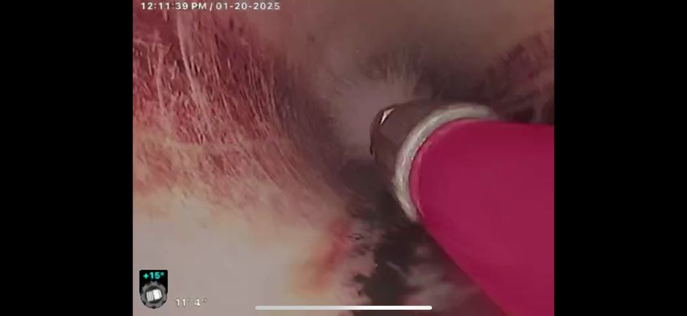 Slide of Free Flow Plumbing and Drains