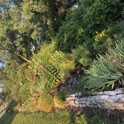 Kate's Garden