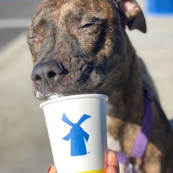 Dutch Bros Coffee - Coffee & Tea Near Me - Dixon, California