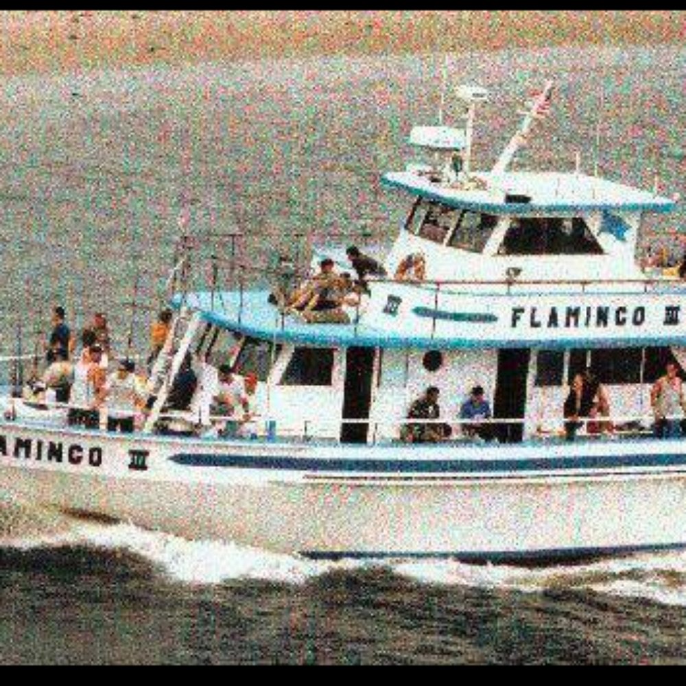 Flamingo III - Fishing Near Me - Brooklyn, New York Flamingo III - Fishing Near Me - Brooklyn, New York