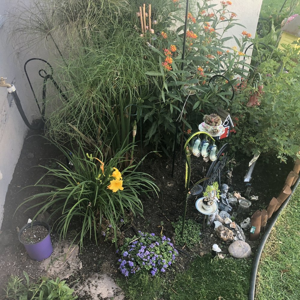 Gonzalo and Sons - More weeding. No more clovers. - Tree Services Near Me Gonzalo and Sons - More weeding. No more clovers. - Tree Services Near Me