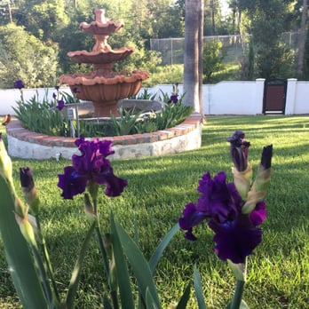A&S Landscape Maintenance - Tree Services Near Me A&S Landscape Maintenance - Tree Services Near Me