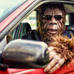 TOP Auto Brokers