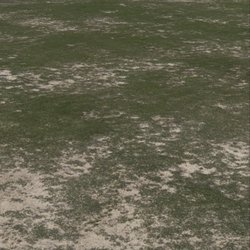 The green.