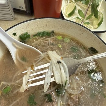 Pho Tai - Found a fly on my soup. Never going back again to this place. - Noodles Near Me - Tukwila, Washington