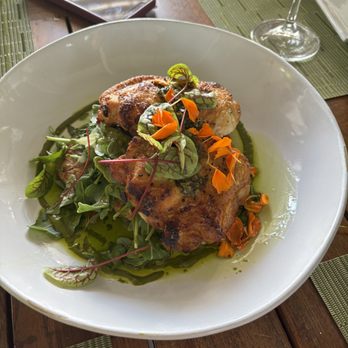 Verde - chicken - New American Near Me - Miami, Florida Verde - chicken - New American Near Me - Miami, Florida