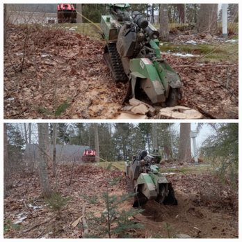 The Stump Guy - Hard to reach places? No problem - Tree Services Near Me The Stump Guy - Hard to reach places? No problem - Tree Services Near Me