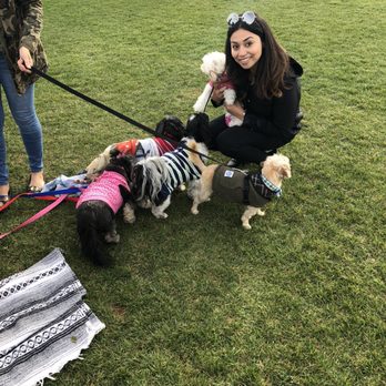 Jamesport Farm Brewery - Dog friendly! - Breweries Near Me - Riverhead, New York Jamesport Farm Brewery - Dog friendly! - Breweries Near Me - Riverhead, New York
