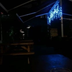 The Dolphin