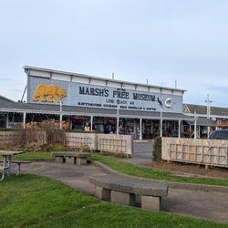 Marsh's Free Museum - Storefront