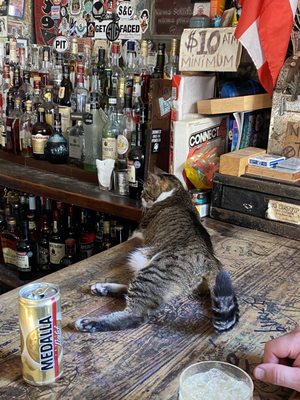 El Batey Bar by null