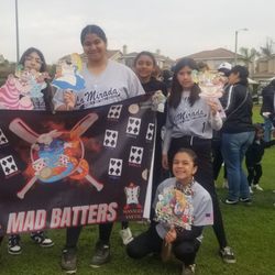 Buena Park Plaque & Trophy - Mad Batters team banner 5x6