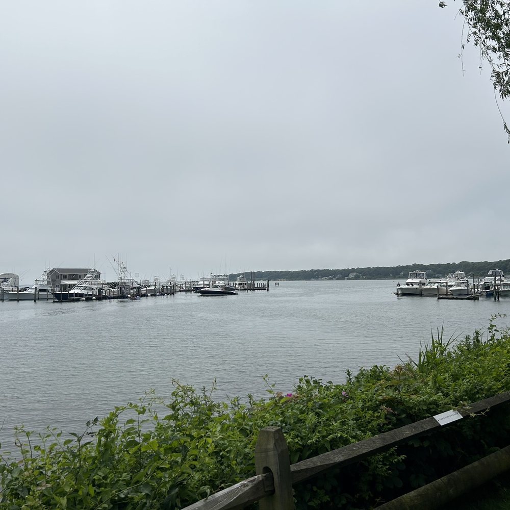 Cowfish - New American Near Me - Hampton Bays, New York