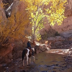 Hondoo Rivers & Trail